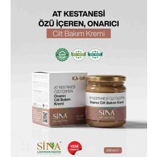 Sina Lokman Hekim At Kestanesi Özlü Onarıcı Cilt Bakım Kremi 210 ml - Yorgun Bacak ve Masajı Için Ferahlatıcı Rahatlatıcı Masaj Kremi