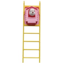 Pet Guguklu Merdiven Kuş Oyuncağı 20 cm