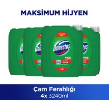 Domestos Yoğun Kıvamlı Çamaşır Suyu Çam Ferahlığı 3240 ml X4
