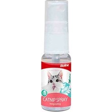 Bezos Catnip Kedi Otu Spreyi 15 ml