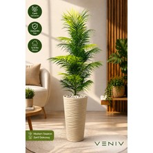Veniv 150-160 cm Yapay Areka Palmiyesi Bej Saksılı Dekoratif Büyük Boy Salon Bitkisi