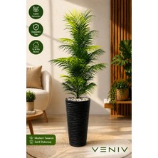 Veniv 150-160 cm Yapay Areka Palmiyesi Siyah Saksılı Dekoratif Büyük Boy Salon Bitkisi