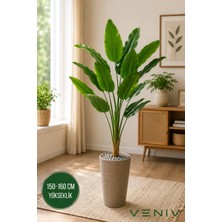 Veniv 150-160 cm Yapay Muz Bitkisi Krem Bej Saksılı Büyük Yapraklı Dekoratif Salon Bitkisi