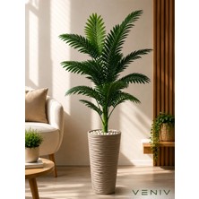 Veniv 150-160 cm Yapay Areka Palmiyesi Bej Saksılı Dekoratif Büyük Boy Salon Bitkisi