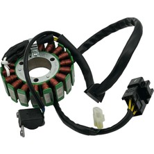 Cf Moto 250 Sr Nk Clx Statör Orjinal