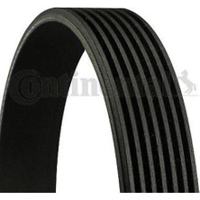 Contitech 7PK1705 Kanallı Kayış Megane 2.0 Dci 16V 05> Laguna 08> Nissan Qashqai 2.0 Dci 16V 06> H35