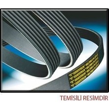Contitech 3PK1025 Kanallı Kayış Ford Sierra 1.8td 87 94 Escort 1.8td 91 92 (38367) 6185100