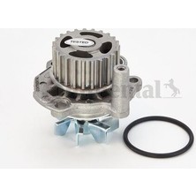 Contitech WP6041 Devirdaim 38920P01003