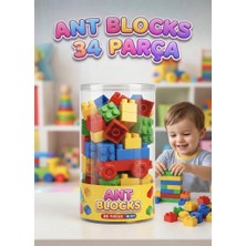 Farbu Oyuncak Ant Blocks 34 Parça Yapı Blokları Eğitici ve Eğlenceli Zeka Geliştirici Oyuncak
