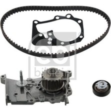 Febi Bilstein 45101 Eksantrik Rulman Kiti Devirdaim Dokker Lodgy Logan Sandero 1.6 16V 1.4 1.6mpı 11