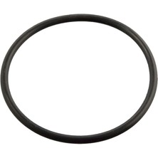 Febi Bilstein 11443 O Rıng Termostat Icın Omega 1338474