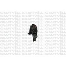 Kraftvoll 09050191 Çamurluk Davlumbazı Ön Sol Corolla 2019 > 5387602270