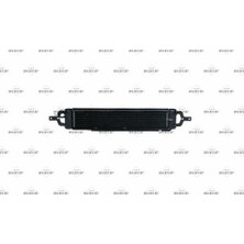 Nrf 31809 Yağ Sotucu Mini R50 R53 R51 17221475586
