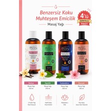 Last Touch Masaj Yağı Aromaterapi 4'Lü Seri Vanilya-Duyusal-Egzotik-Canlandırıcı