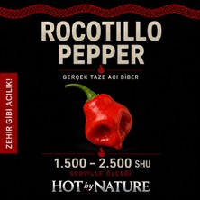 Hot By Nature ROCOTILLO PEPPER / 2.500 Scoville - Gerçek Taze Acı Biber