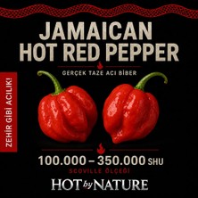 Hot By Nature JAMAICAN HOT RED PEPPER / 350.000 Scoville - Gerçek Taze Acı Biber
