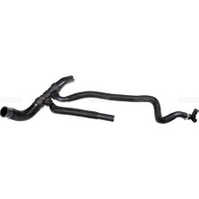 Rapro 11340 Radyatör Alt Hortumu Palio Albea 1.2 8V 1.4 8V 02 Act Dyn 51774738