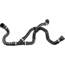 Rapro 19907 Hortum 17127596839