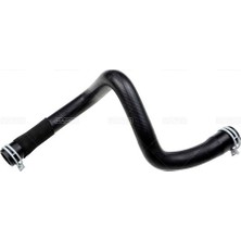 Rapro 16419 Radyatör Üst Hortumu C Max Iı 1.0 Ecoboost CV618260VJ