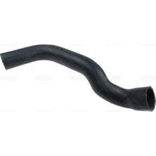 Rapro 28243 Radyatör Alt Hortumu Benz W163 ML320 ML349 1635010582