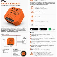 F&F Filipowski Anahtar & Enerji 230 V Wi-Fi Rölesi