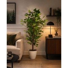 Cennet Home Botanica Liva – Yapay Benjamin Ağacı 100 cm Beyaz Yakut Saksıda