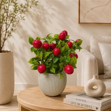 Cennet Home Liva Kiraz Premium 25 cm Dekoratif Yapay Kiraz Bitkisi