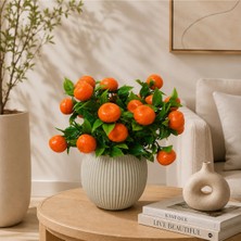 Cennet Home Liva Mandalina Premium 25 cm Dekoratif Yapay Mandalina Bitkisi