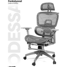 Karr Office Odessa Fonksiyonel Çalışma Koltuğu