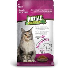Bezos Kısır Kedi Maması Somonlu 1,5 kg 1 Adet