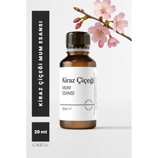 Cage Art Studio Japon Kiraz Çiçeği Mum Esansı 20 ml - Yüksek Kalite Mum Koku Esansı, Soya Wax ve Parafin Uyumlu