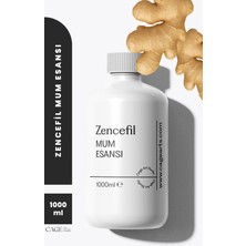 Cage Art Studio Zencefil Mum Esansı 1000 ml - Yüksek Kalite Mum Koku Esansı, Soya Wax ve Parafin Uyumlu