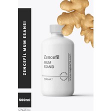 Cage Art Studio Zencefil Mum Esansı 500 ml - Yüksek Kalite Mum Koku Esansı, Soya Wax ve Parafin Uyumlu