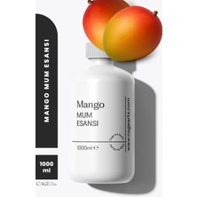 Cage Art Studio Mango Mum Esansı 1000 ml - Yüksek Kalite Mum Koku Esansı, Soya Wax ve Parafin Uyumlu