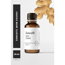 Cage Art Studio Zencefil Mum Esansı 20 ml - Yüksek Kalite Mum Koku Esansı, Soya Wax ve Parafin Uyumlu