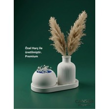 Canseb Elegance Üçlü Dekoratif Sukulent Saksı & Çizgili Pampas Vazosu Seti