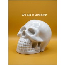 Canseb Elegance 10CM Kuru Kafa Heykeli - Dekoratif Obje Biblo