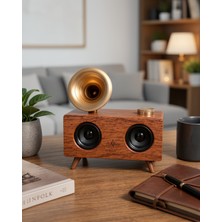 Azrlya Gramafon Nostaljik Radyo Yüksek Ses Kalitesi USB Tf Kart Aux Yeni Nesil