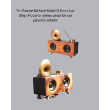 Azrlya Retro Gramafon Bluetooth Hoparlör Çift Stereo Sesli Fm Radyo Destekli