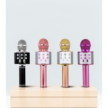 Azrlya Şarjlı ve Uzun Pil Ömürlü Karaoke Mikrofon USB Bellek Destekli, Profesyonel Ses