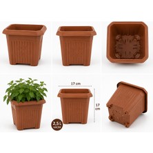 Desak Hak Saksı Kare 3 No Hak Saksı Kare 3 No 17X17CM 2.5l