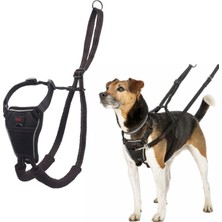 Company Of Animals Halti Köpek Çekme Önleyici Göğüs Tasması, Küçük Boy