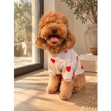 Maia Studio Puppy Love Köpek Sweatshirt (Gri Kalp Desenli)