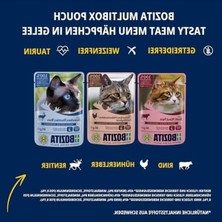 Esranın Dünyası 12X85 gr Ağırlığında Jöle Içinde Etli Kedi Konservesi, Multibox