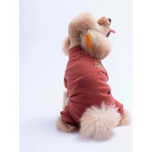 Pawstar 26904 Bordo Berry Hedge Tulum