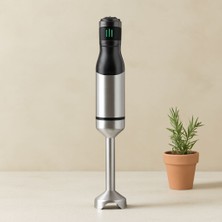 TeOra Store 1200W Çubuk El Blender - Değişken Hız, Çelik Bıçak