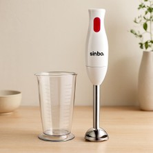 TeOra Store 350W Çubuk Blender Çelik Uçlu 700ML Hazneli