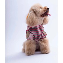 Pawstar 26729 Kırmızı Marseille Softline Sweat