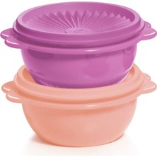 Esranın Dünyası Tupperware Yıldız Kap 2'li Gıda Saklama Kabı 400ML Mor ve Somon