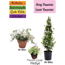 Esranın Dünyası Serada Decor & Plant Kokulu Arap Yasemini, Izmir Yasemini, Mezem Çiçeği 3'lü Bahçe Seti
